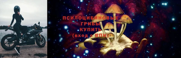 СК Касимов