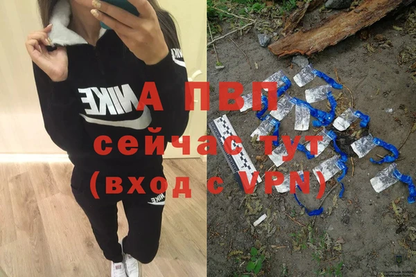 СК Касимов