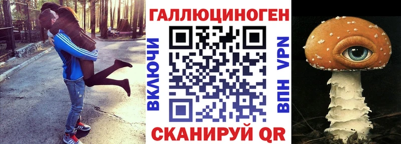 Купить где  Кимры  Псилоцибиновые грибы GOLDEN TEACHER 